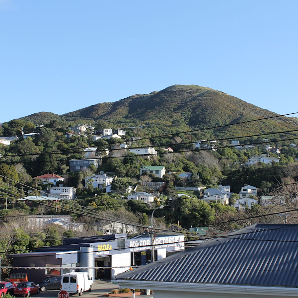 My Homestay in Wellington