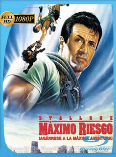 Maximo Riesgo (1993) HD [1080p] Latino [GoogleDrive] SXGO