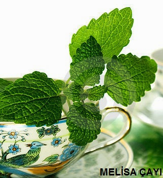 melisa çayının faydaları, melissa tea benefits