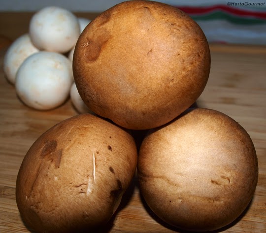 Setas Portobello y champiñones HortoGourmet