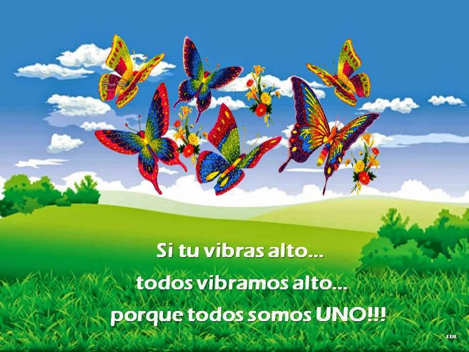 Download Buenas Vibras Para Todos Wallpaper HD. | Wallpaper-HD.Com