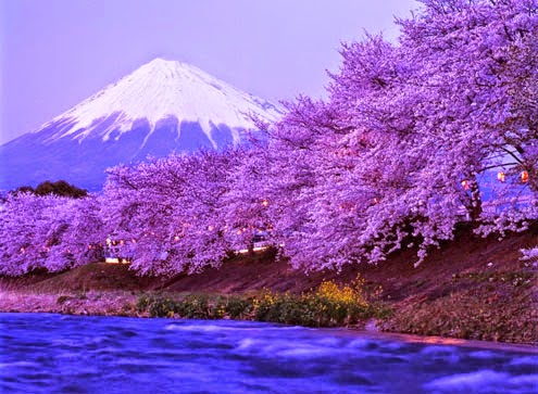 Gambar Pemandangan Terindah Di Jepang