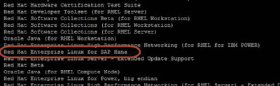 SAP HANA SPS10 on Red Hat 6.6