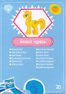 My Little Pony Wave 4 Mosely Orange Blind Bag Card