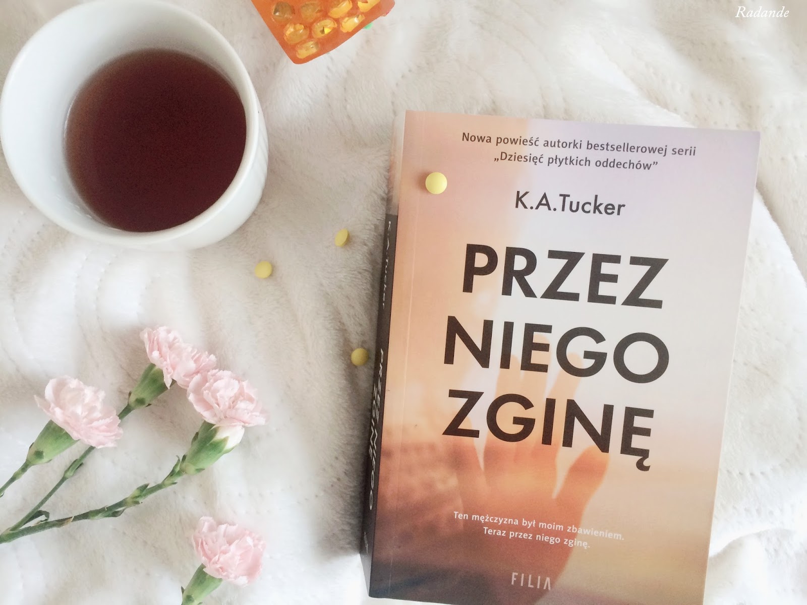 Zginę Przez Ciebie Nim Zginę Krzyknę że Ginę Przypadkiem radandenelia: Mroczny kącik: K.A. Tucker "Przez niego zginę"