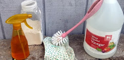 chickens coop cleaning natural way