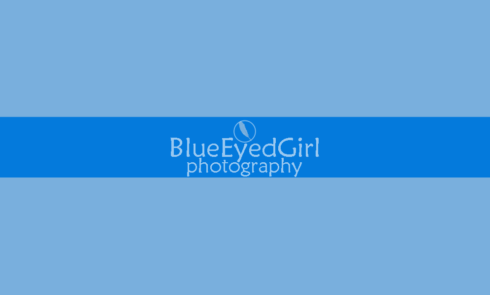 Blue Eyed Girl Photography