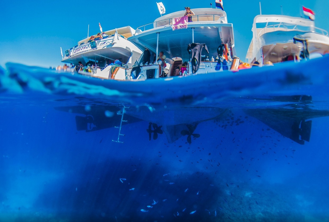 Snorkeling In Sharm El Sheikh