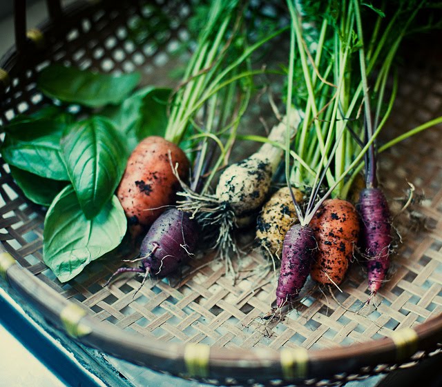 10engines bookmark whole larder love