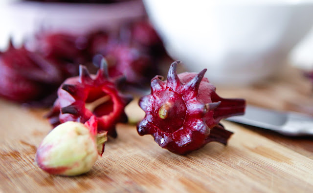 Fresh Hibiscus Kombucha Tea