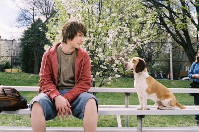 Distribution De The Power Of The Dog Film Guru Lad - Film Reviews: Underdog Review