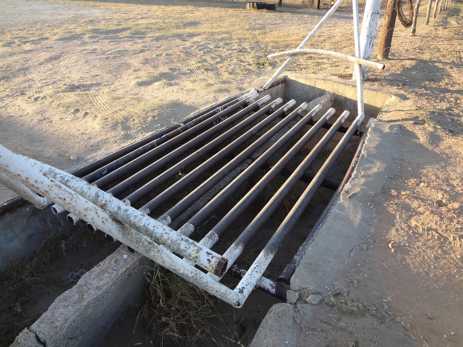 Woods Roamer A CATTLE GUARD IS NOT A CATTLE GUARD! IT’S A CATTLE GUARD!