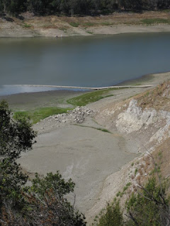 Exposed bed of the shrinking Lexington Reservoir, Los Gatos, California