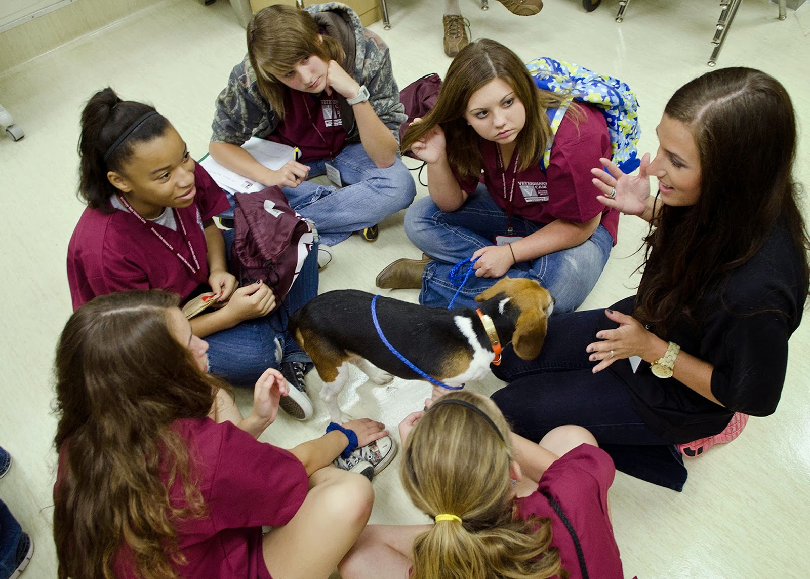 CVM News and Events Vet camp offers experience for high school students