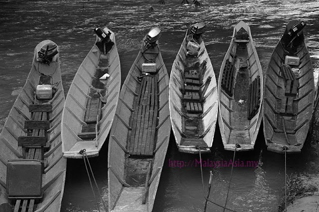 Photo of many Iban long boats