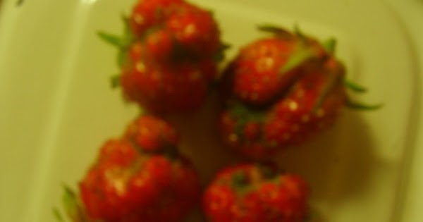 Нарушение водного режима: