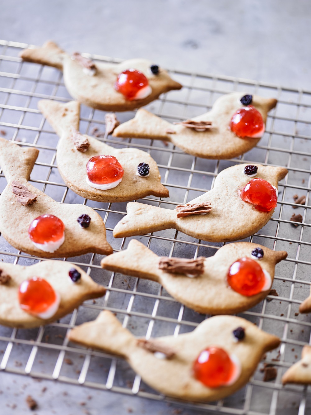 Mixed Spiced Christmas Robin Biscuits