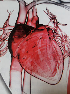 Heart Heart