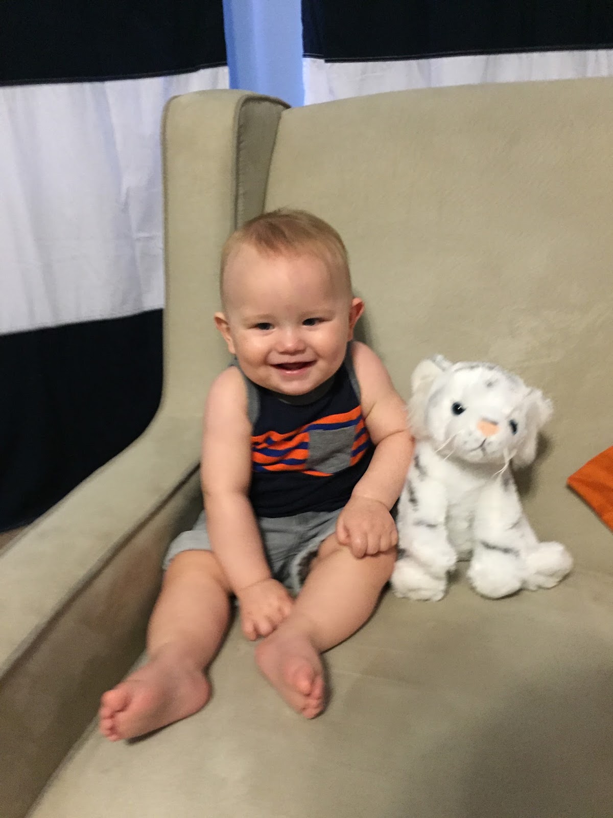 Hold the Gluten Please 30 in 30 12 Adopt a Zoo Animal