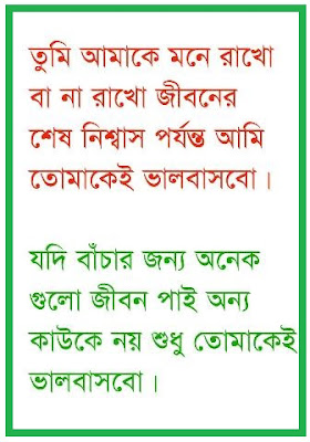Bangla Sad Quotes Bangla Sad Quotes