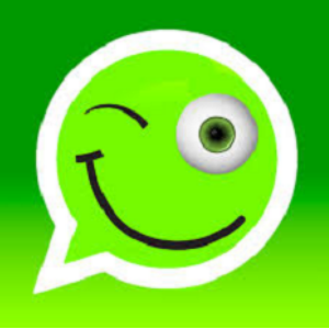 Do You Love Fun On WhatsApp