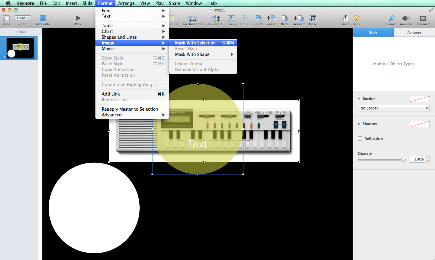 Better Scientific Presentations How to crop images with circles in Keynote