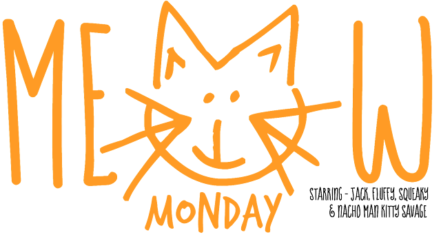 meow%2Bmonday%2Bbanner%2B2.png