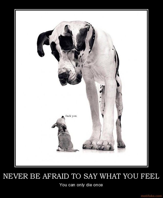 The Glass Half Full Never Be Afraid To Say What You Feel the-glass-half-full-never-be-afraid-to-say-what-you-feel