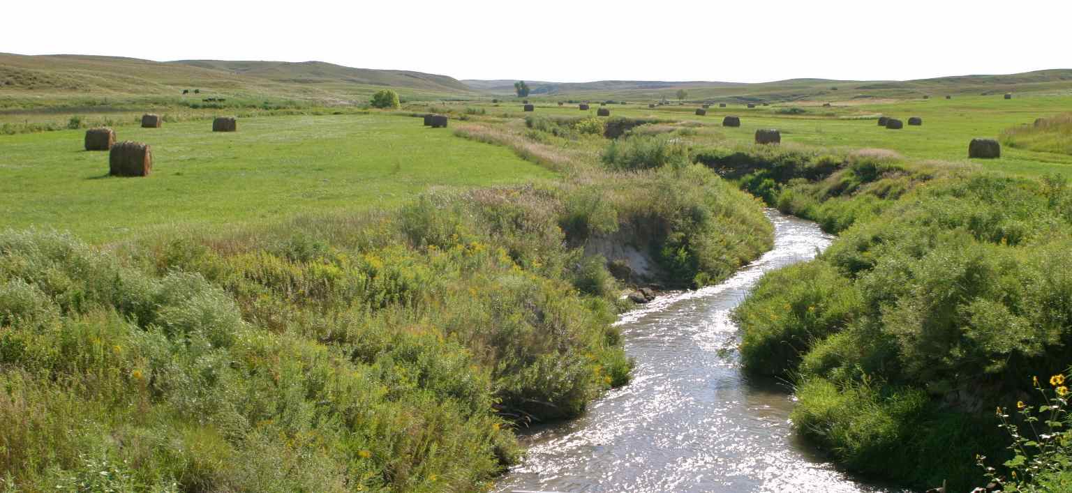 Scenic Sunday Birdwood Creek