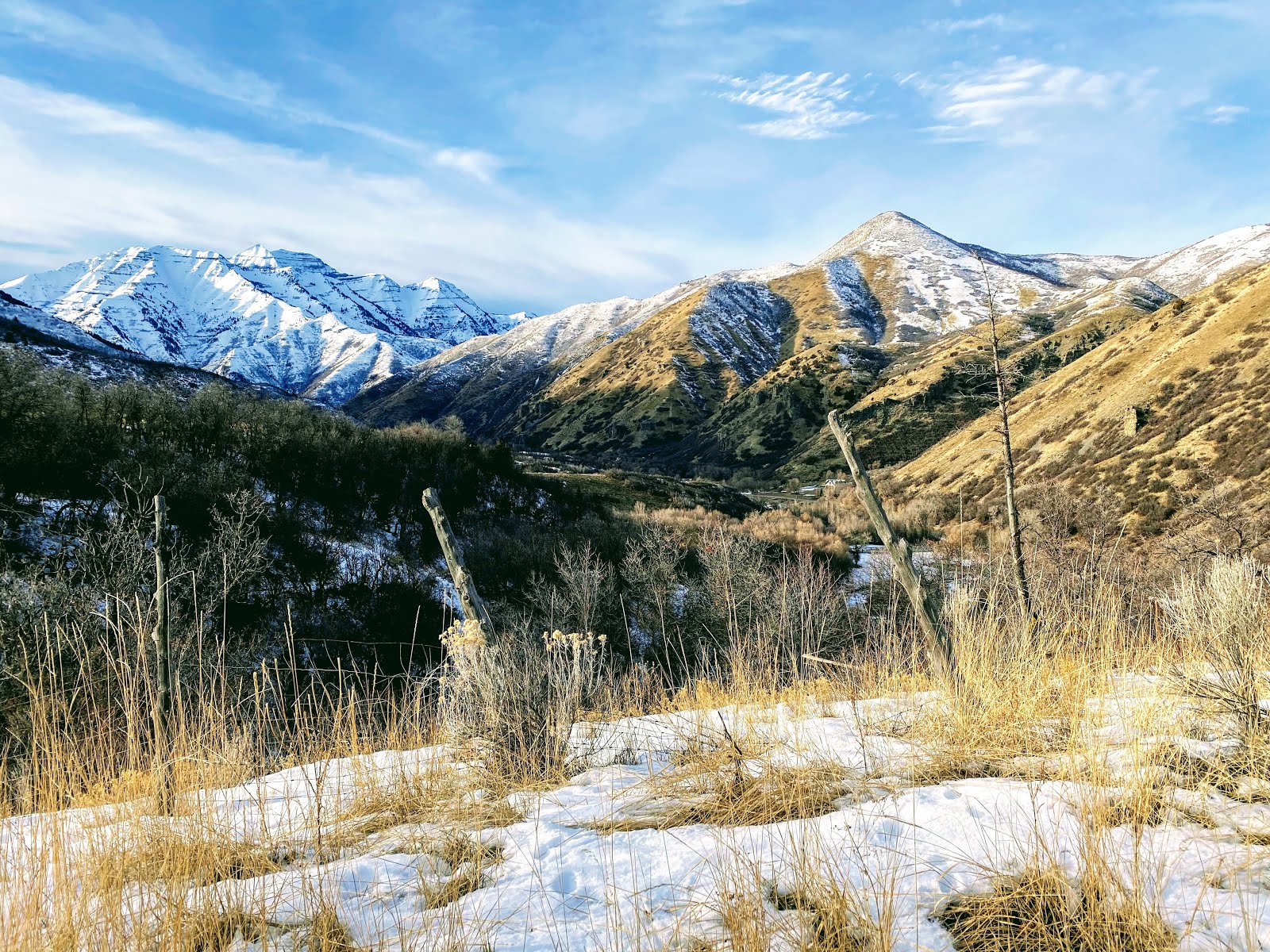 Walking Arizona South Fork Canyon, Wasatch Mountains, Utah