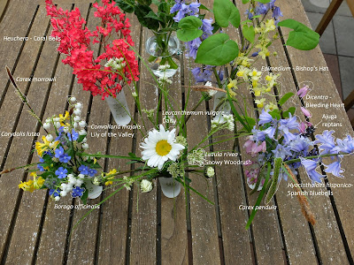 Flowers in the Sample Annotated
