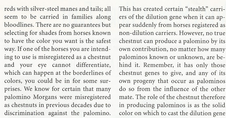 Old Morgans: Morgan Colors 5/98 TMH