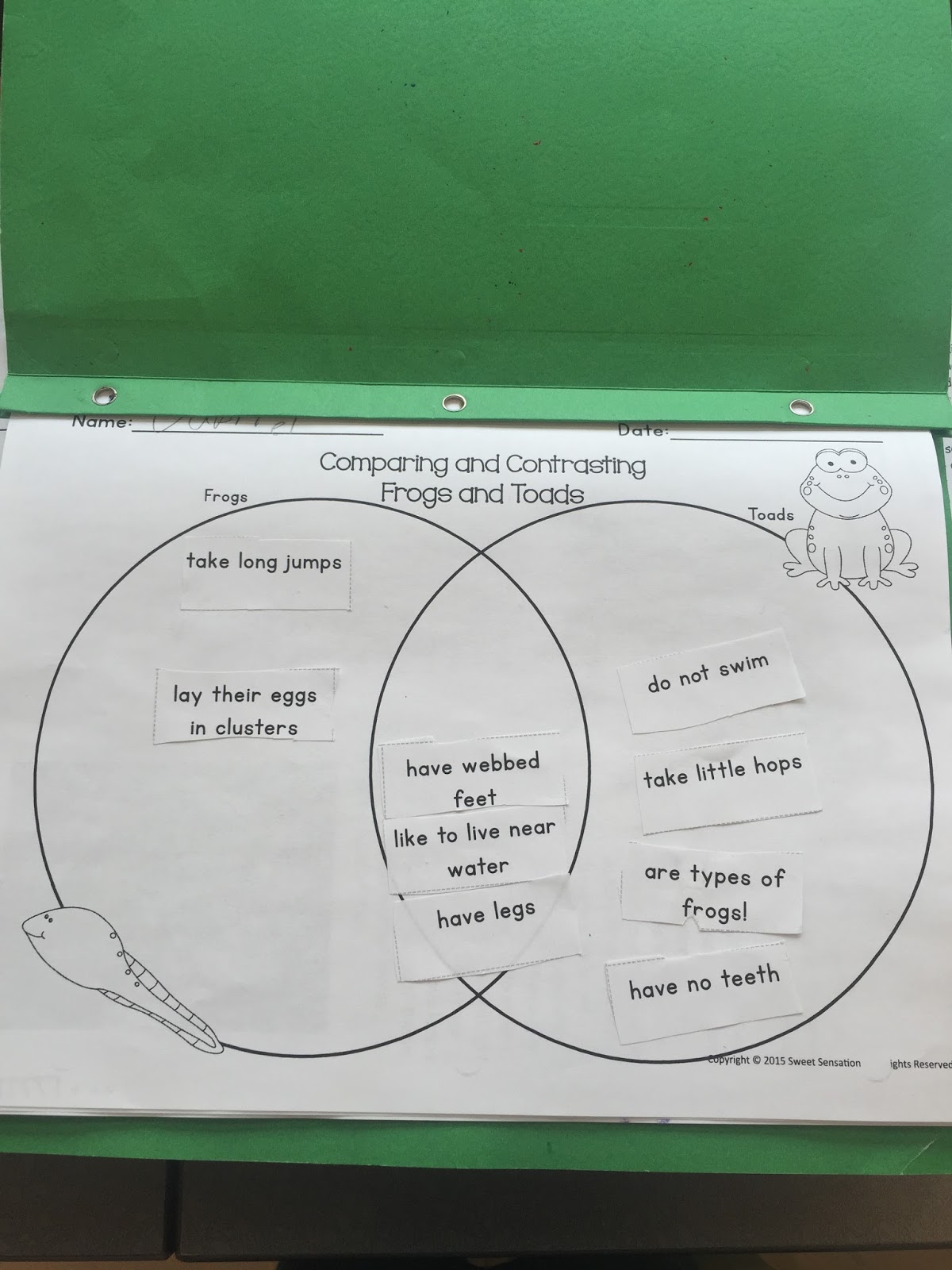 Miss. Vanchu's Classroom Blog : Life Cycle of a Frog