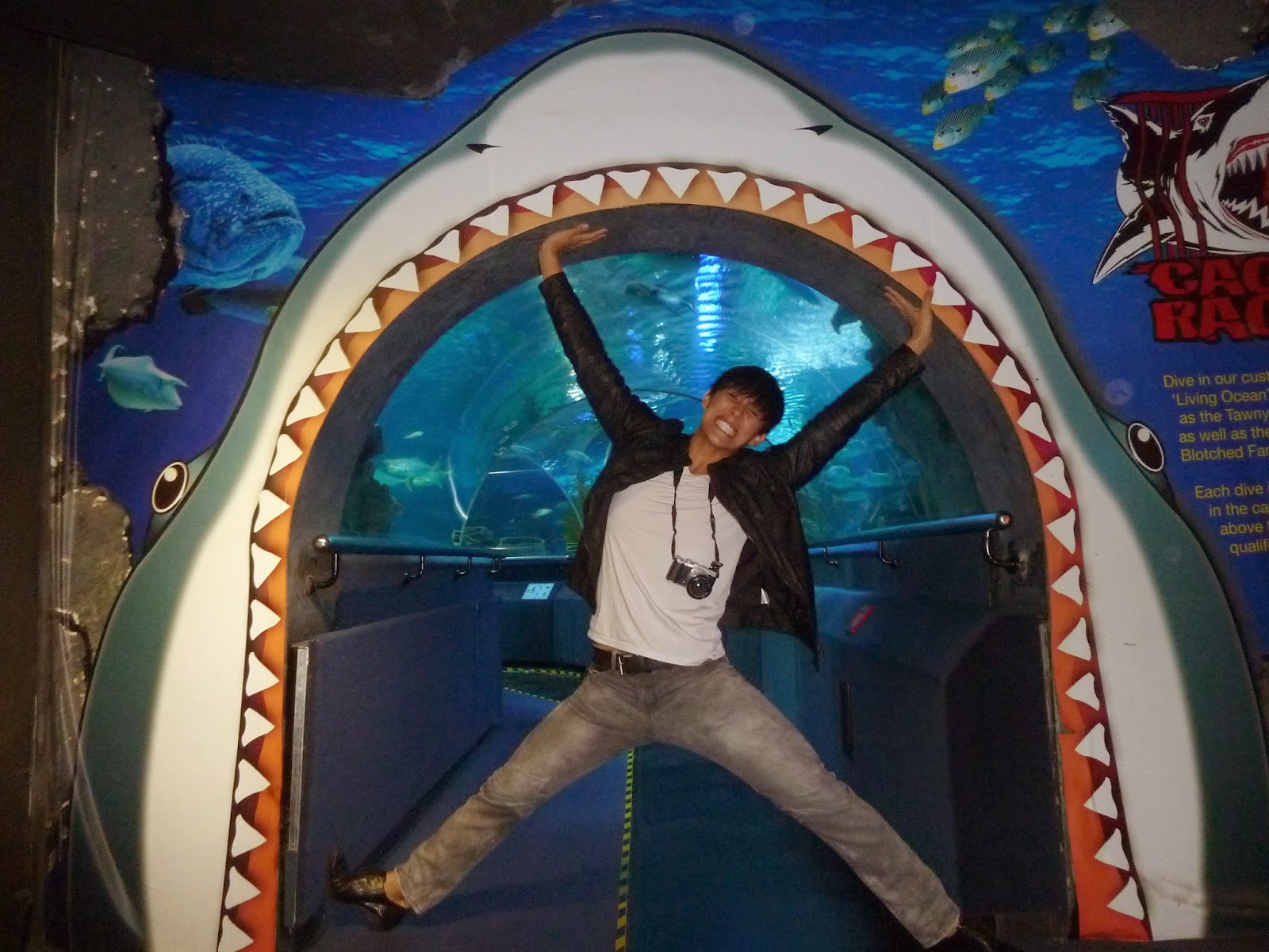 Kee Hua Chee Live! AQUARIA AT SURIA KLCC IS ONE OF THE BEST AQUARIUMS