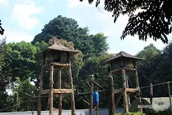 kandang orangutan kebun binatang ragunan jakarta