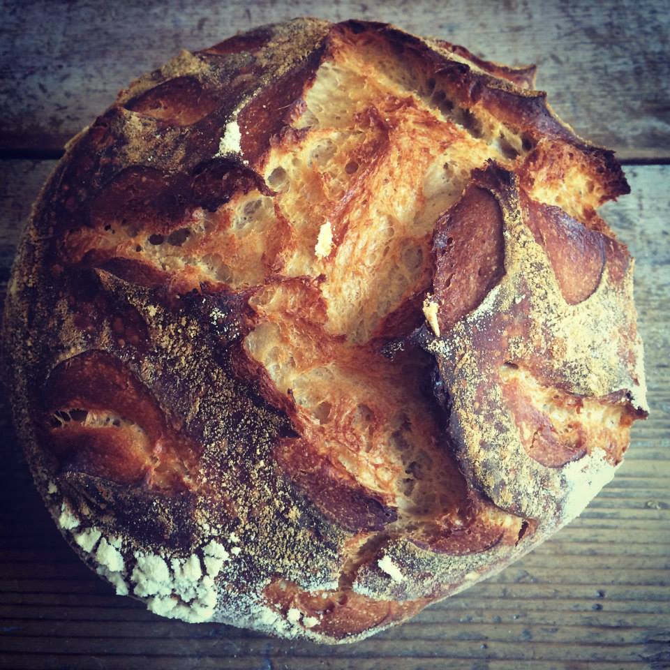Tartine Bread Experiment