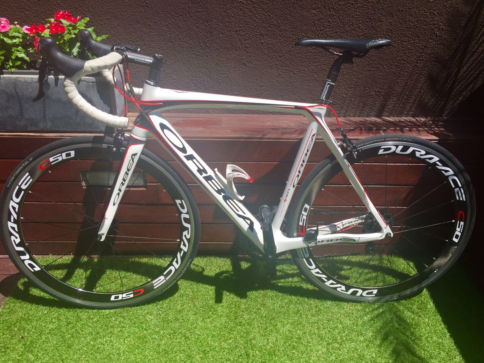 Pegatnas De Bccletas FOCUS. Un Set De Pegatnas Para El Cuadro Y La - Foto 2