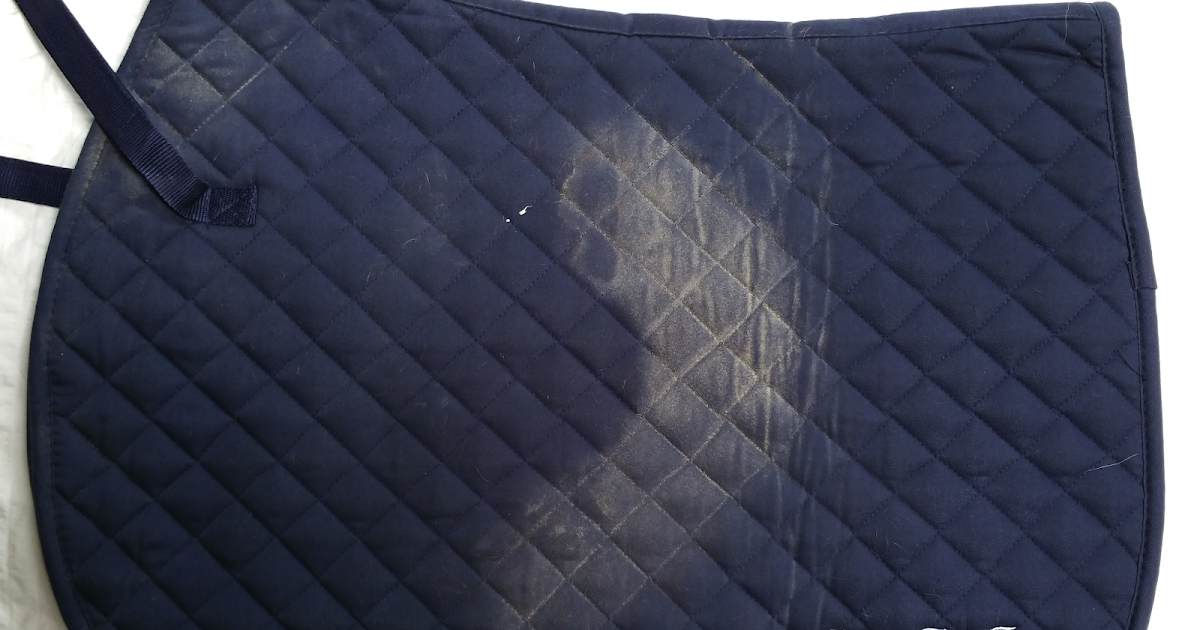 Life with Horses Washing a saddle pad at home with less mess