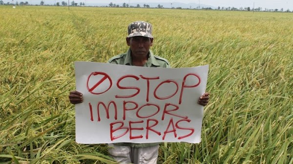 Akui Impor Beras, Prodem: Harusnya Jokowi Jujur Sudah Menyengsarakan Petani