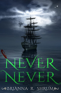 Never Never by Brianna Shum