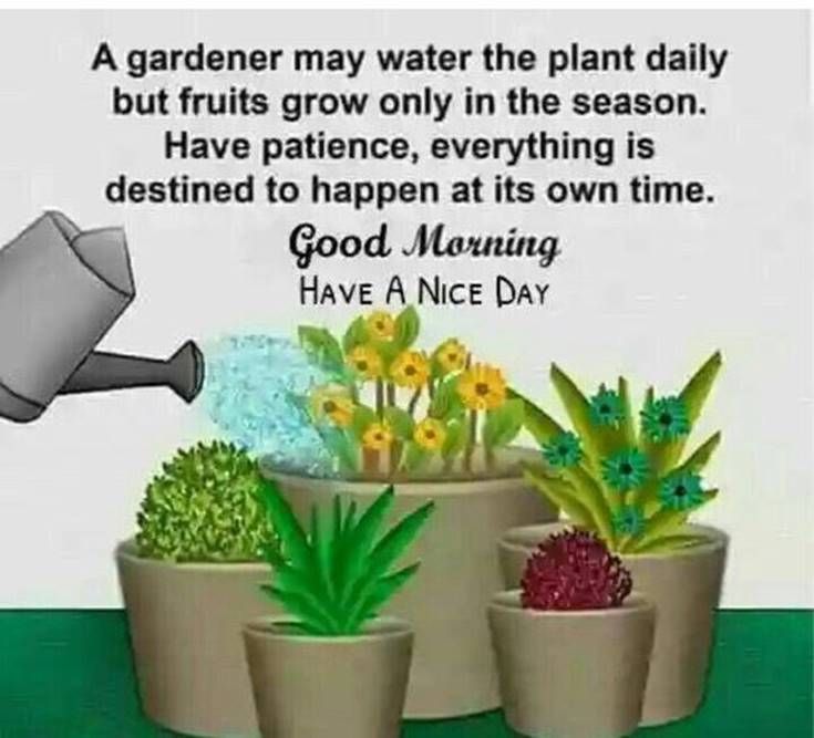 good night cute images