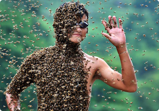 China Bee Man title=