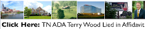 Williamson County ADA Terry Wood Lied