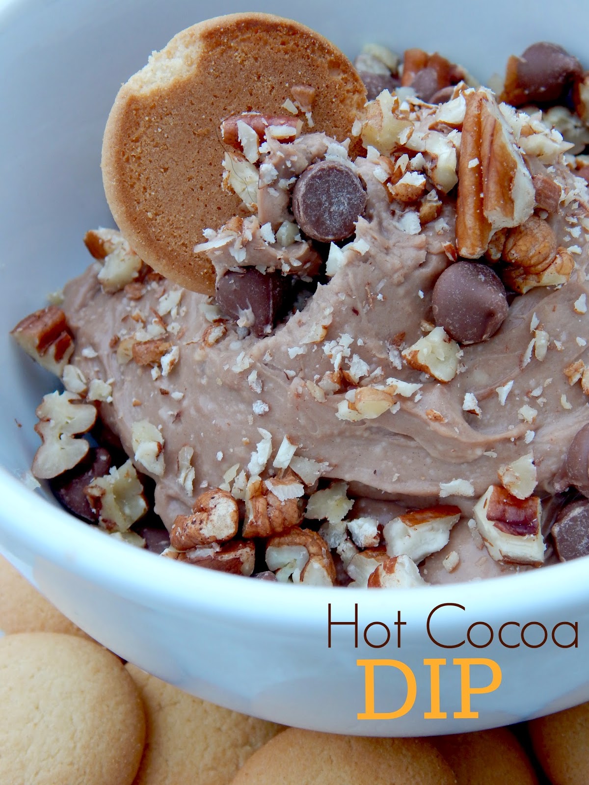 Hot Cocoa Dip Ally's Sweet & Savory Eats