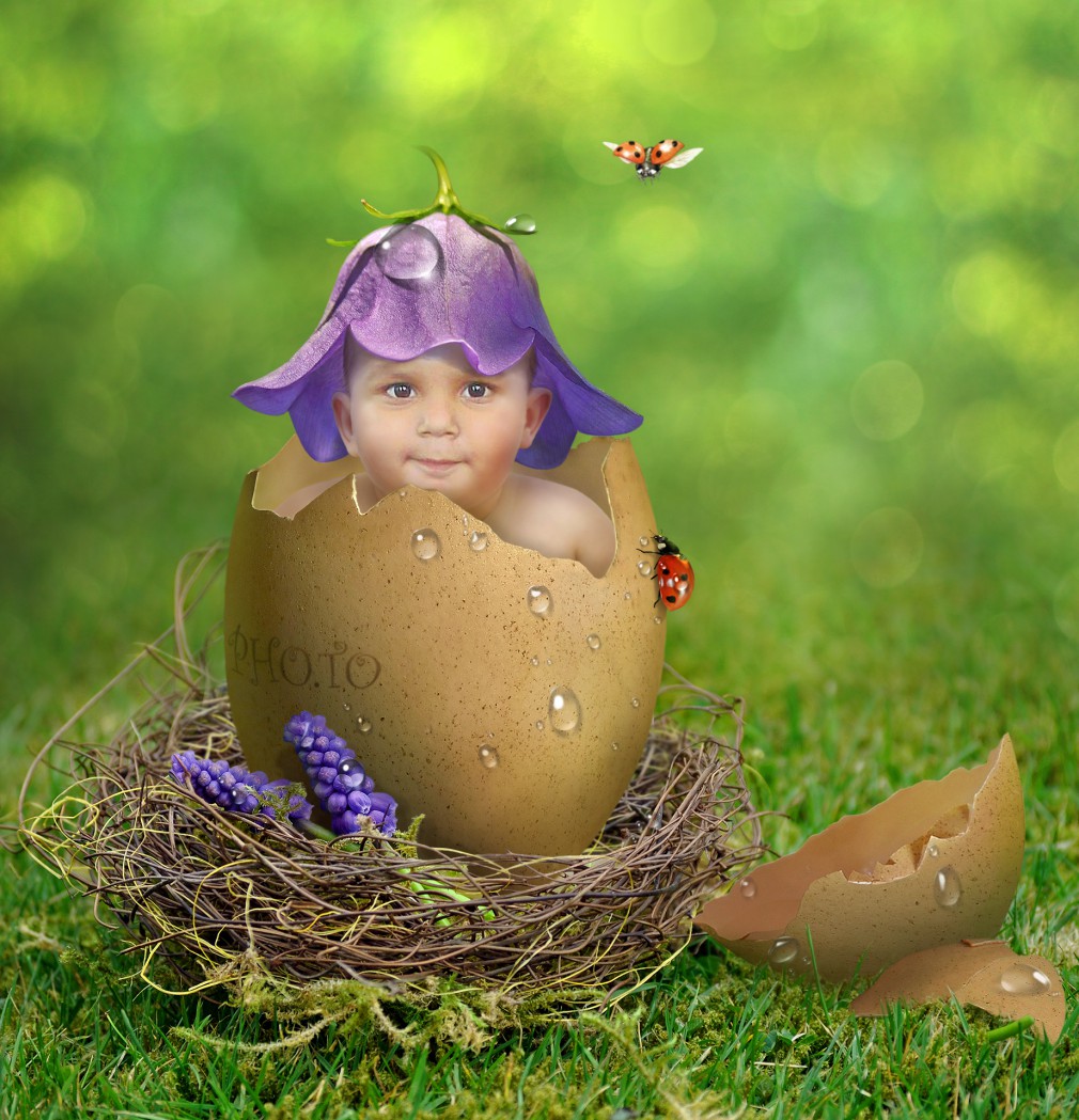 Srilatha Blog Funny Pho.To Turn Your Simple Photographs Into Funny Photo Frames Quickly