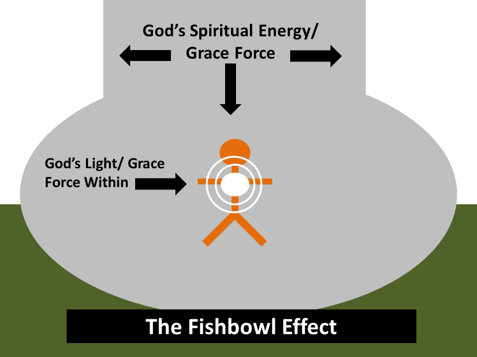Looking Back Toward the Future The Fishbowl Effect