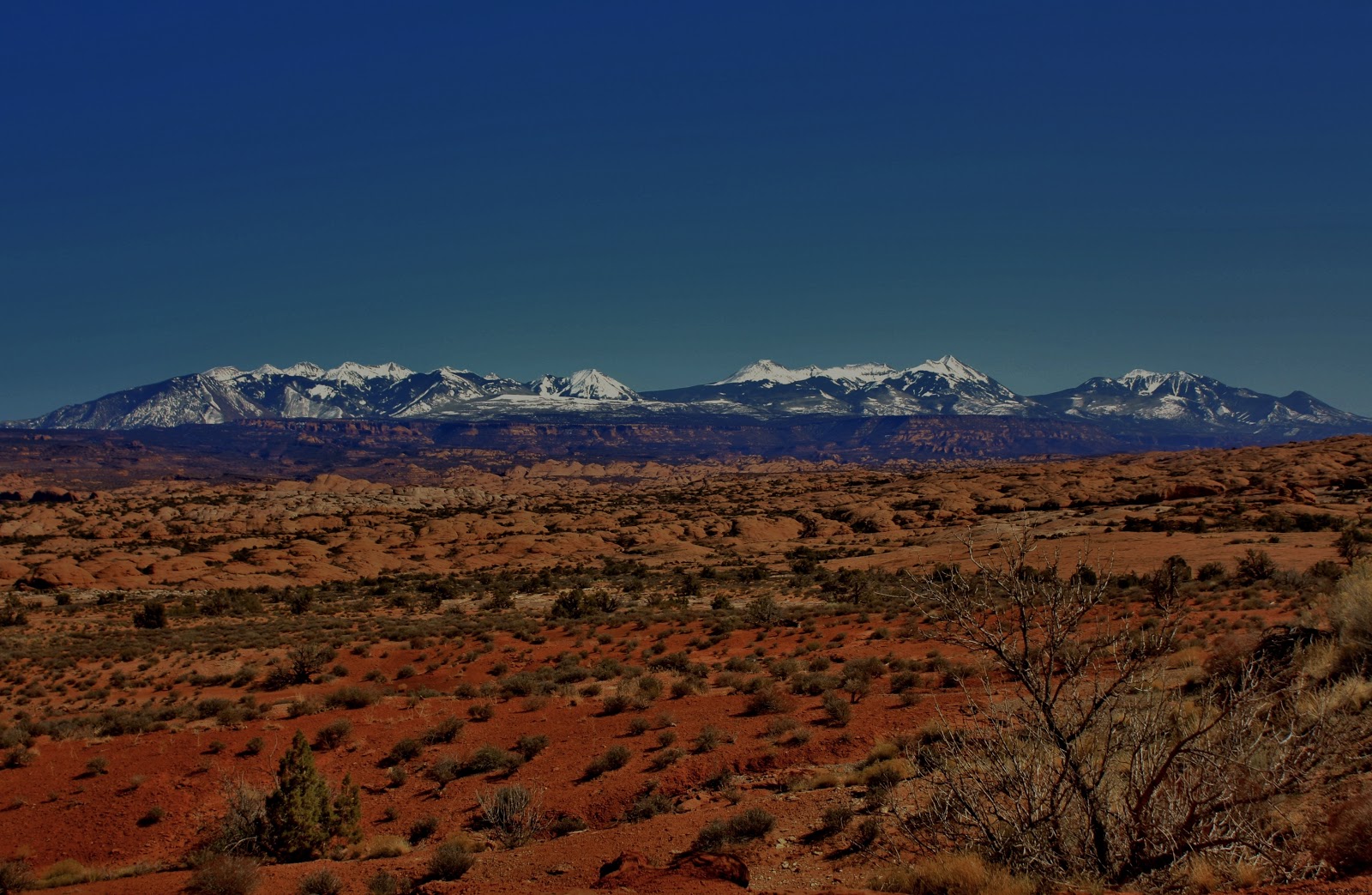 The Southwest Through Wide Brown Eyes Arches National Park The La