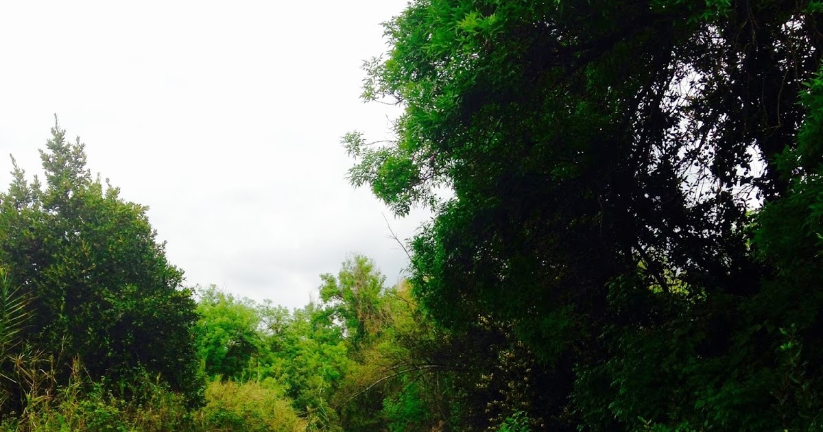 The Roving Ranger Rivers in the Wasteland