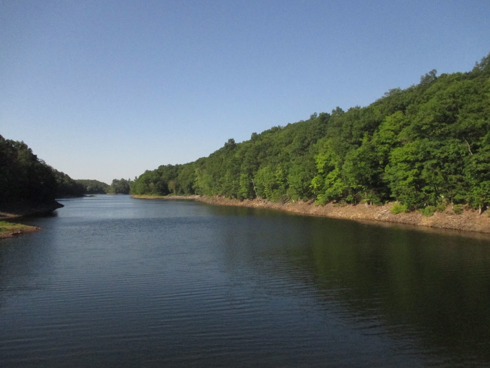 This Week In Hubbard Park Bear Sighting In Hubbard Park