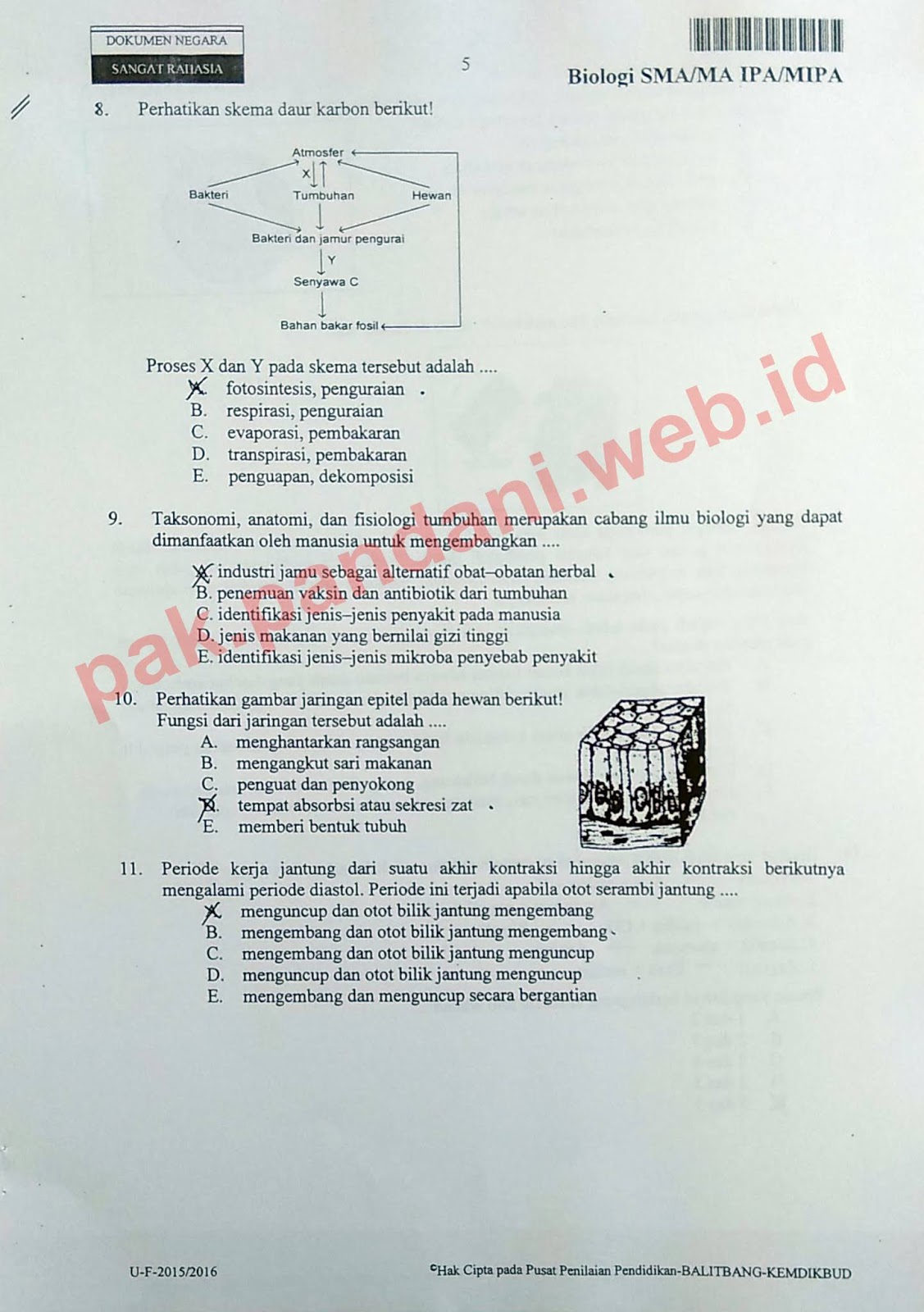 Soal Un Biologi Sma Tahun Pelajaran 2015 2016 Paket Soal 4 Blog Pak Pandani